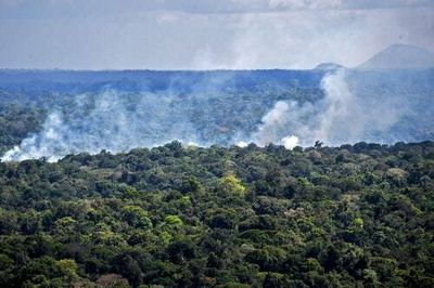 Amazon's carbon footprint worsened last year despite climate initiatives