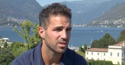 Cesc Fabregas delivers verdict on Arsenal and their summer transfer business