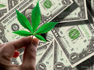 Red White & Bloom Posts Record Revenue In Q1, Set To Achieve Positive EBITDA By End Of FY