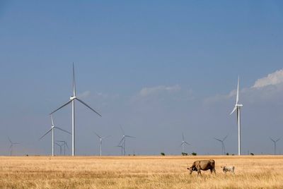 Why the Texas grid causes the High Plains to turn off its wind turbines