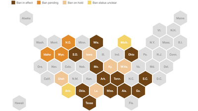 Abortion is illegal or heavily restricted in at least 12 states