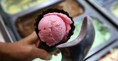 The future of ice cream flavours could be custard, syrup and baked beans