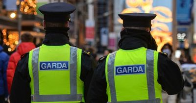 Increase in many forms of crime such as domestic violence, garda figures show