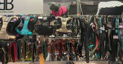Leads, collars and phone stolen in Nottinghamshire pet supplies shop break-in