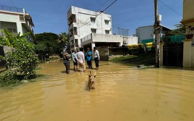 Eight killed in rain-related incidents in Karnataka since Monday