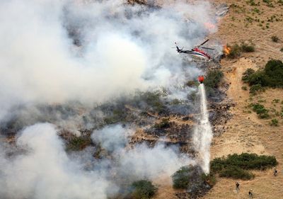 Utah man accused of causing wildfire by burning a spider