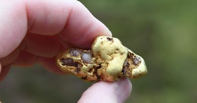 Golf ball-sized pure gold nugget is 'biggest ever found in UK waters'