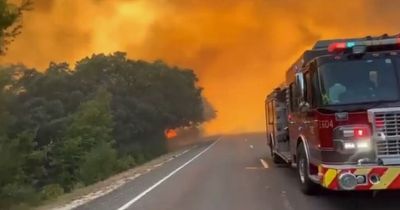 Apocalyptic scenes as out of control wildfire sends huge orange flames over road