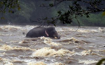 Top Kerala news developments today