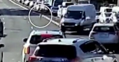 Horror as toddler, 3, seen running onto busy main road as cars drive past