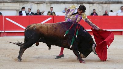 ¿The last Olé? Left-wing French MP moves to end 'immoral' bullfighting in southern France