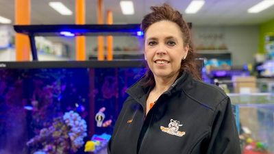 WA Chamber of Commerce and Industry says businesses report declining profits and confidence