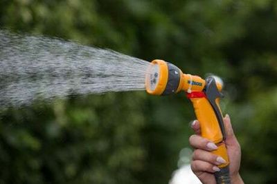 South East Water announces hosepipe ban for Kent and Sussex