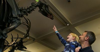 Dublin's 'dead zoo' comes back to life but with a catch
