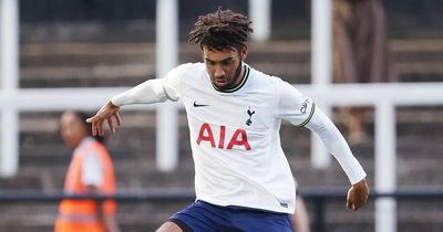 Cardiff City closing in on striker breakthrough as Tottenham starlet heading for medical