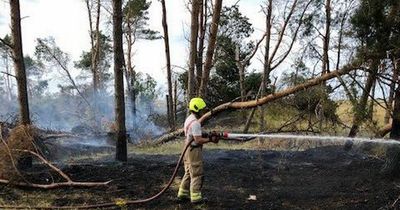 East Lothian firefighters tackle blaze from cigarette tearing through woods
