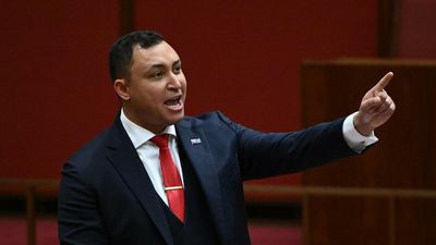 Palmer senator hits out at political class