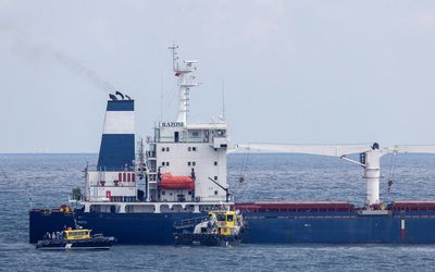 Three ships may leave Ukrainian ports daily after first successful departure -Turkish official