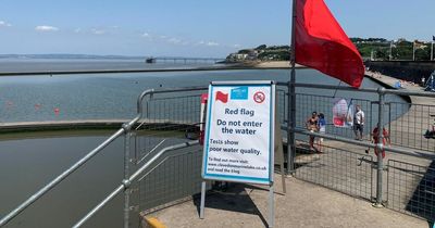Clevedon Marine Lake swimmers told to stay out as high levels of e:coli found
