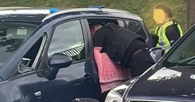 Furious police smash window to save distressed dog trapped in 47C hot car