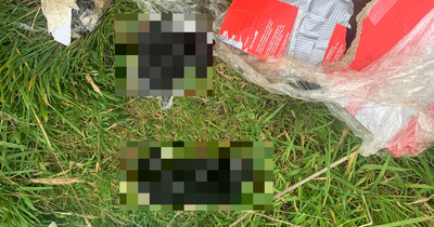 SSPCA launch probe after three dead puppies found in Scots field by 'horrified' local