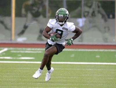 Elijah Moore snags one-handed catch at Jets training camp (video)