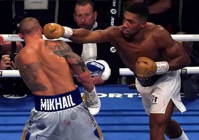 Anthony Joshua must flirt with ‘disqualification’ to win Oleksandr Usyk rematch, claims David Haye