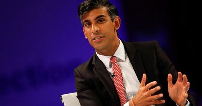 Rishi Sunak pledge to stamp down on those who 'vilify' UK branded 'laughable'
