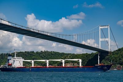 First Ukrainian grain shipment sails through Istanbul