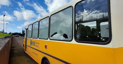 Six Education Authority buses damaged in "reckless act" in Downpatrick