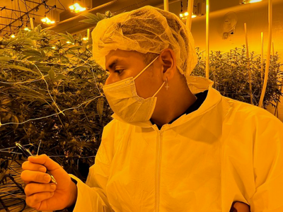 EXCLUSIVE: Dartmouth Engineering Students Conduct First-Ever Study On Energy Efficiency In Cannabis Cultivation