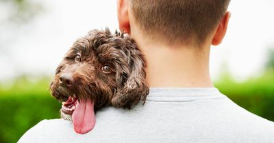 Son refuses to visit his mum if he can't bring his dog - even though she's allergic