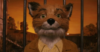 The outdoor movie screenings happening in Dublin this month