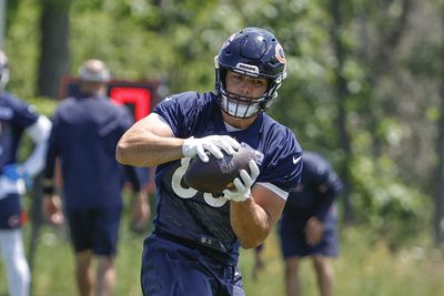 Cole Kmet vs. Eddie Jackson has been matchup to watch at Bears training camp