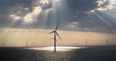Octopus Energy Group invests £200m to take stake in Hornsea One Wind Farm
