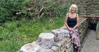 Sperm whale that washed up on Northumberland beach two centuries ago to have bones displayed in Pele Tower