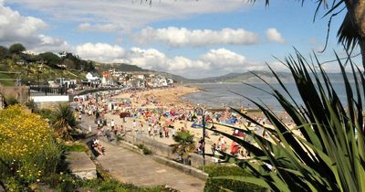 Police launch manhunt after bloke batters seagull with cricket bat on beach promenade