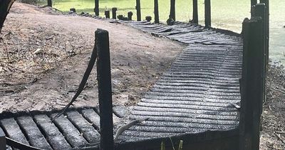 'Selfish behaviour' slammed after part of Ponteland park set on fire