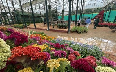 Lalbagh flower show to be litter-free this year