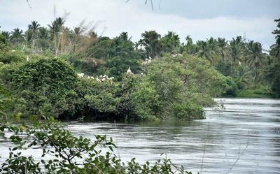 Ranganathittu is now a Ramsar site