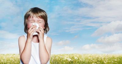 Allergies in children have risen seven-fold in past 15 years, study shows