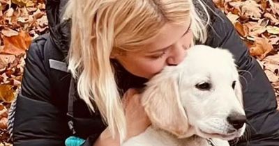 Holly Willoughby teases plan over unusual home renovation for her beloved dog Bailey