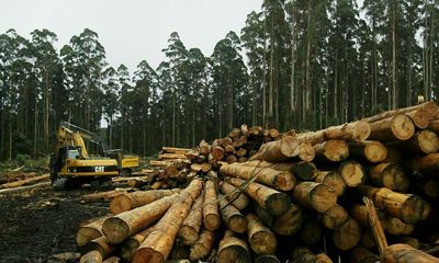 Unions call for Victoria’s proposed laws targeting environmental protesters to be scrapped