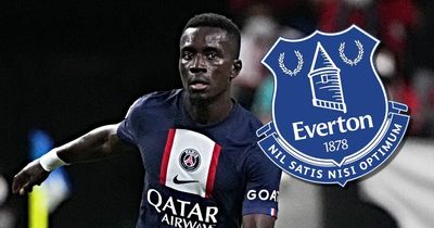 Idrissa Gueye is a familiar name but Everton could get a different player with transfer