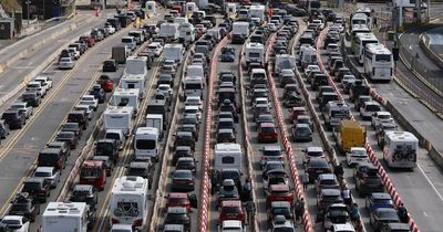 'Oven ready? Thanks to Brexit now we're all turkeys in the eyes of the world'