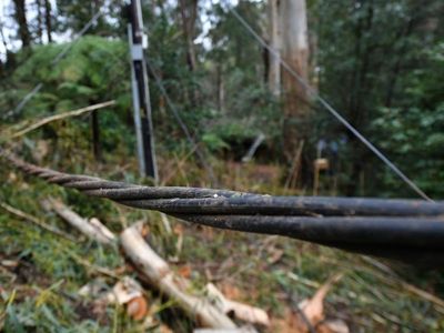 Severe weather warning for parts of NSW