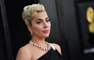 Lady Gaga dog robber sentenced to four years in US jail