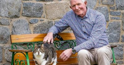 Former stray who saved family-of-six from house fire challenges for top cat award