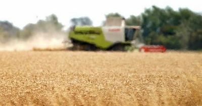 UK Weather: Britain braced for more searing heat within days