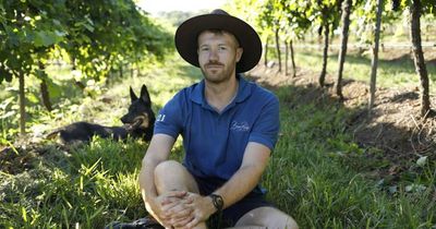 Hunter winery Briar Ridge nails major wine award for exceptional albarino
